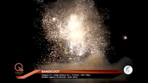 BANDICOOT 75 SHOT! BARRAGE BY ABSOLUTE FIREWORKS